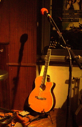 Have Guitar, Will Travel